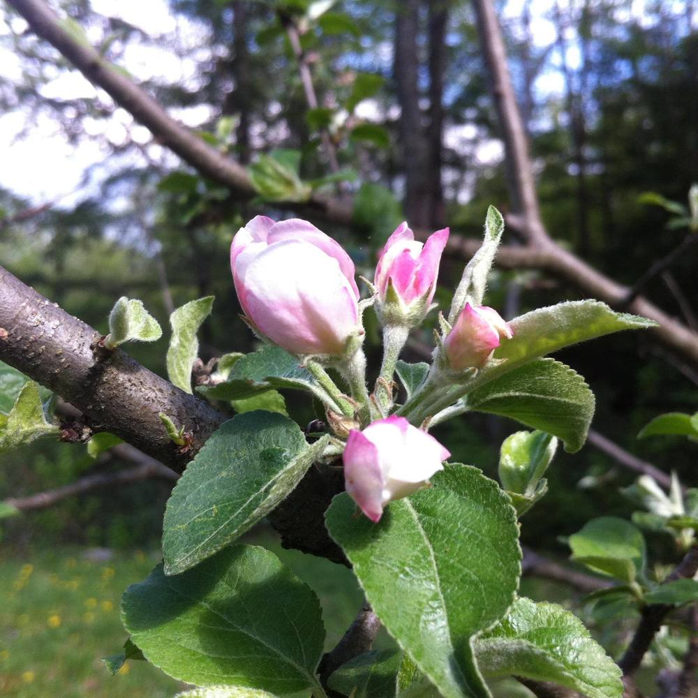 Meet your Posher, Leticia